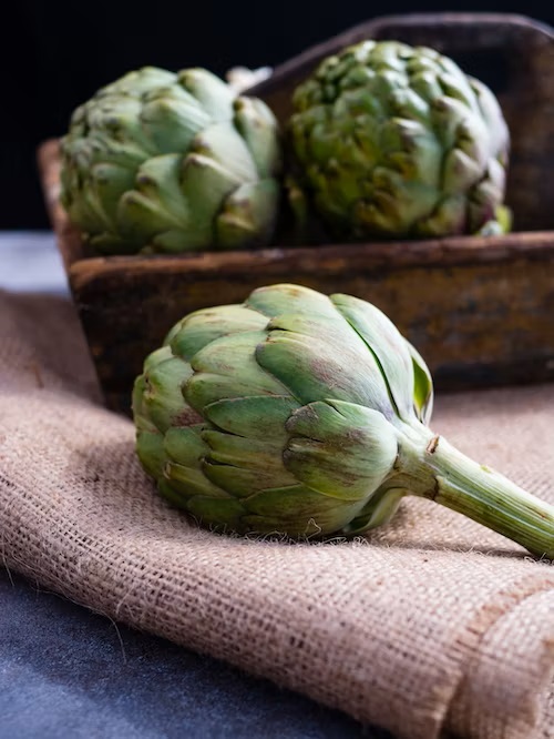 fresh artichokes