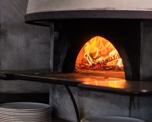 wood fire oven for the pizza